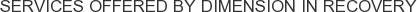 Services offered by Dimension in Recovery