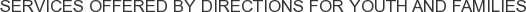Services offered by Directions for Youth and Families