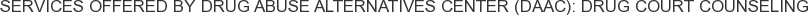 Services offered by Drug Abuse Alternatives Center (DAAC): Drug Court Counseling
