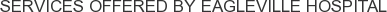 Services offered by Eagleville Hospital