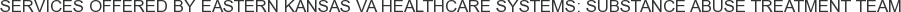Services offered by Eastern Kansas VA Healthcare Systems: Substance Abuse Treatment Team