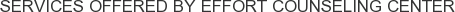 Services offered by Effort Counseling Center
