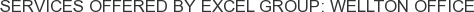 Services offered by EXCEL Group: Wellton Office