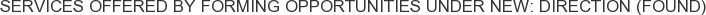 Services offered by Forming Opportunities Under New: Direction (FOUND)