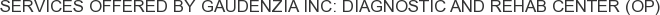 Services offered by Gaudenzia INC: Diagnostic and Rehab Center (OP)