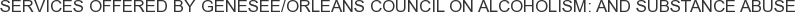 Services offered by Genesee/Orleans Council on Alcoholism: and Substance Abuse