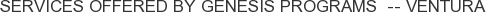 Services offered by Genesis Programs -- Ventura