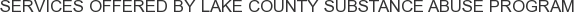 Services offered by Lake County Substance Abuse Program