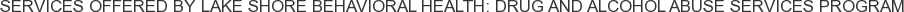 Services offered by Lake Shore Behavioral Health: Drug and Alcohol Abuse Services Program