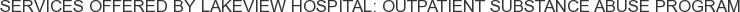 Services offered by Lakeview Hospital: Outpatient Substance Abuse Program