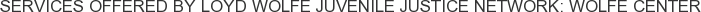 Services offered by Loyd Wolfe Juvenile Justice Network: Wolfe Center
