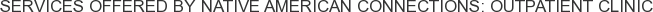 Services offered by Native American Connections: Outpatient Clinic