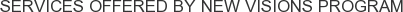 Services offered by New Visions Program
