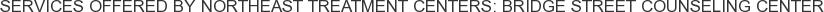 Services offered by Northeast Treatment Centers: Bridge Street Counseling Center