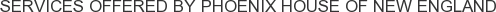 Services offered by Phoenix House of New England