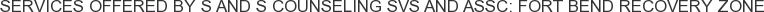 Services offered by S and S Counseling Svs and Assc: Fort Bend Recovery Zone