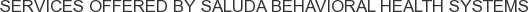 Services offered by Saluda Behavioral Health Systems