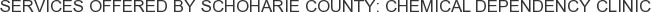 Services offered by Schoharie County: Chemical Dependency Clinic