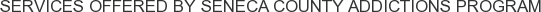 Services offered by Seneca County Addictions Program