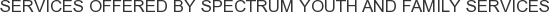 Services offered by Spectrum Youth and Family Services