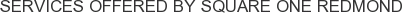 Services offered by Square One Redmond