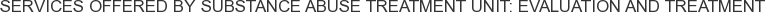Services offered by Substance Abuse Treatment Unit: Evaluation and Treatment