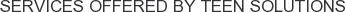 Services offered by Teen Solutions