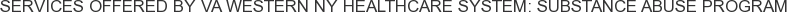 Services offered by VA Western NY Healthcare System: Substance Abuse Program