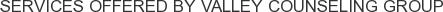 Services offered by Valley Counseling Group