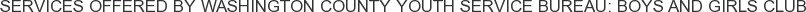 Services offered by Washington County Youth Service Bureau: Boys and Girls Club