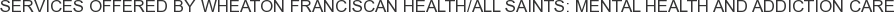 Services offered by Wheaton Franciscan Health/All Saints: Mental Health and Addiction Care