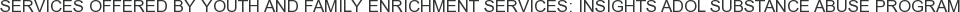 Services offered by Youth and Family Enrichment Services: Insights Adol Substance Abuse Program