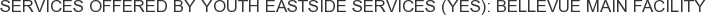 Services offered by Youth Eastside Services (YES): Bellevue Main Facility